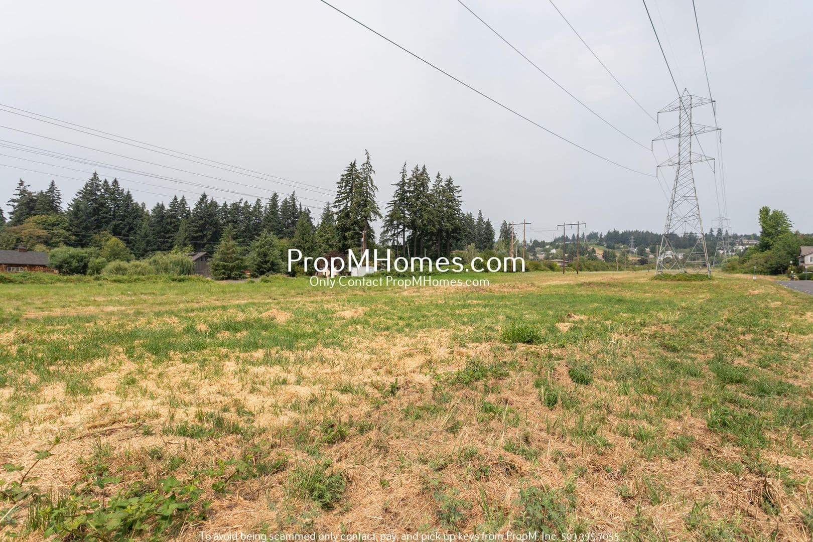 King City House: 16825 SW Romeo Terrace - NEW PROPERTY