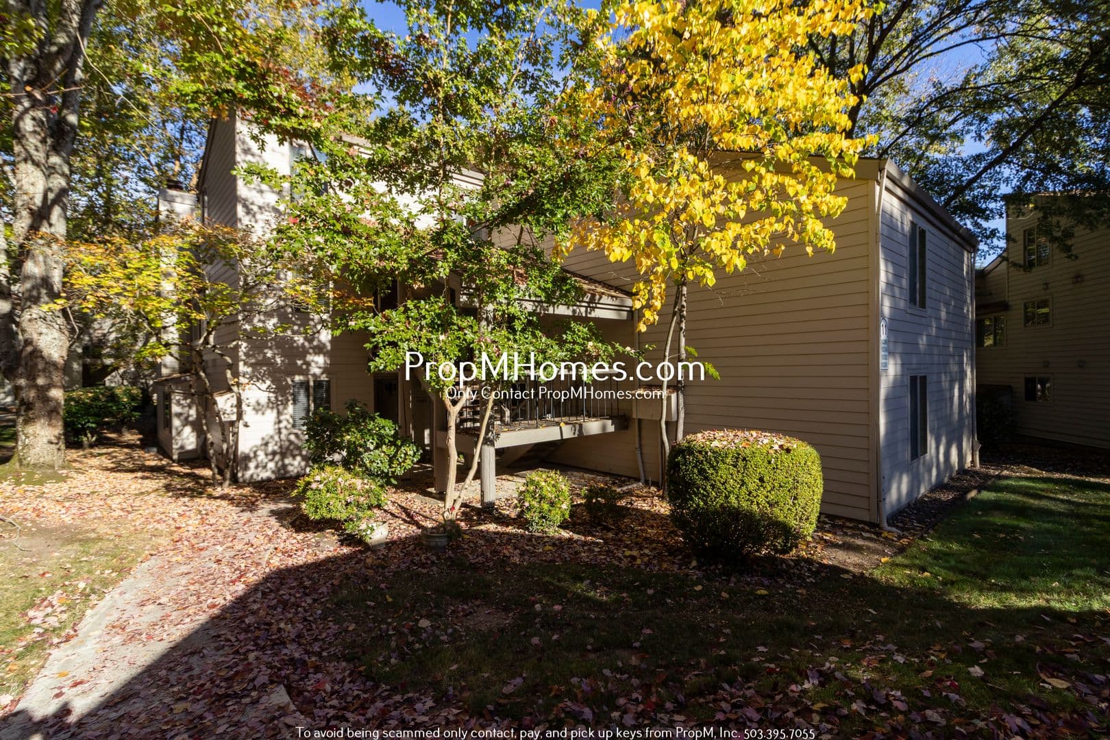 Beaverton House: 10284 SW Trapper Terrace - NEW PROPERTY