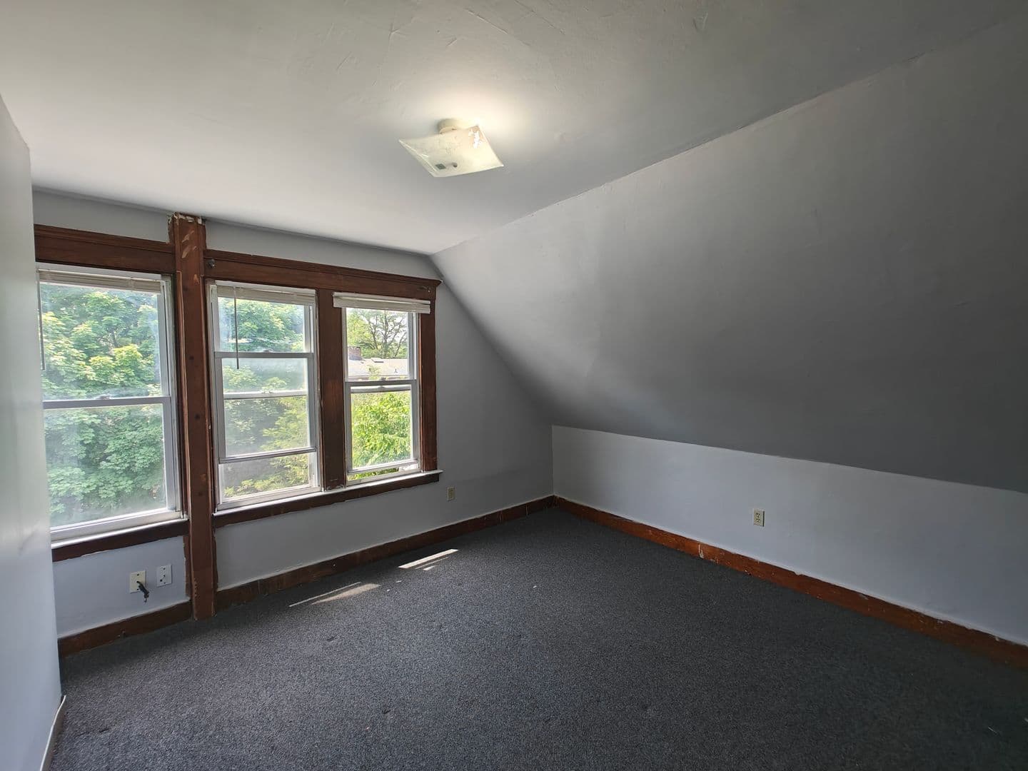 New Haven Apartment: 1644 Chapel Street
