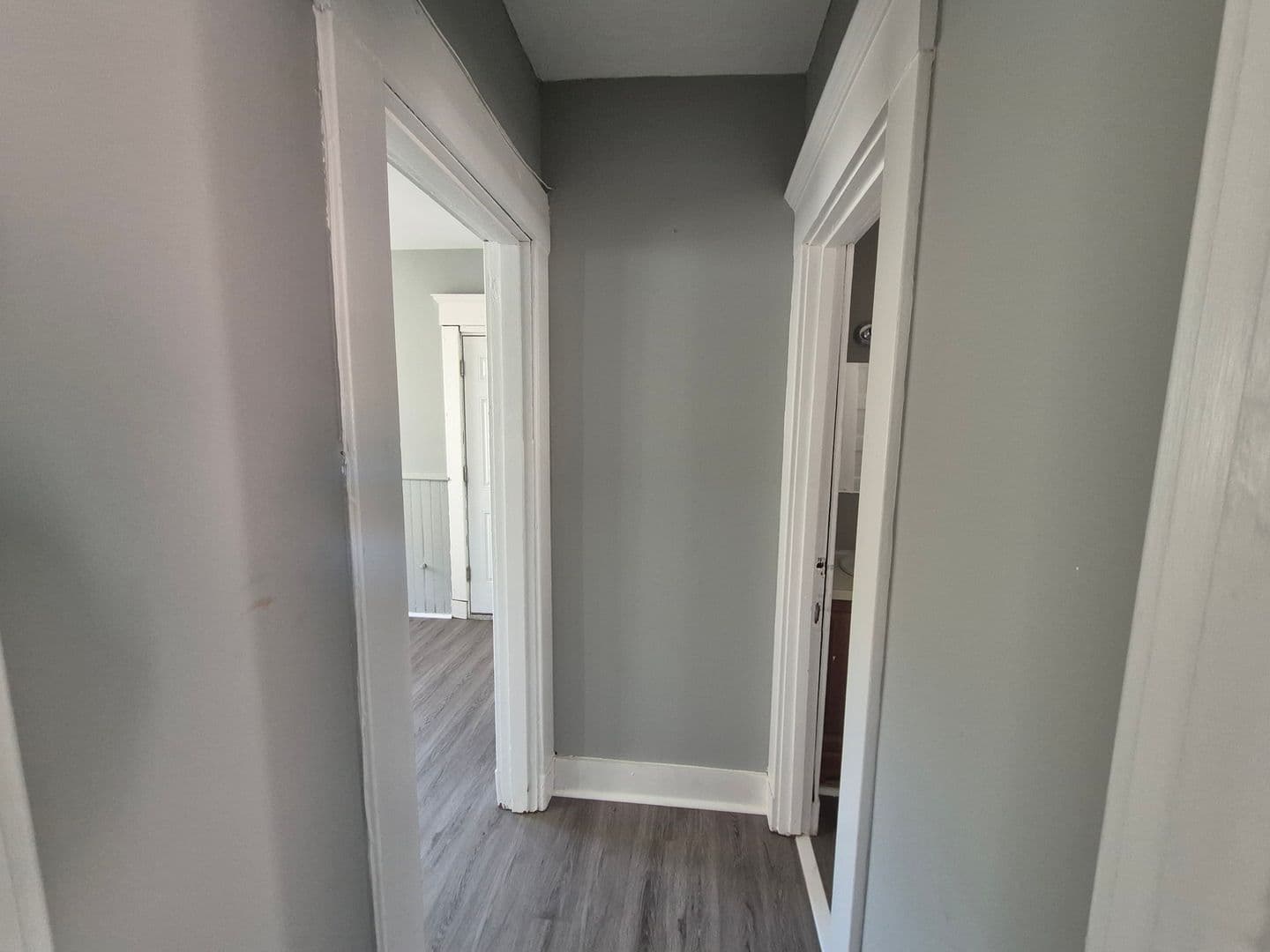 New Haven Apartment: 1644 Chapel Street