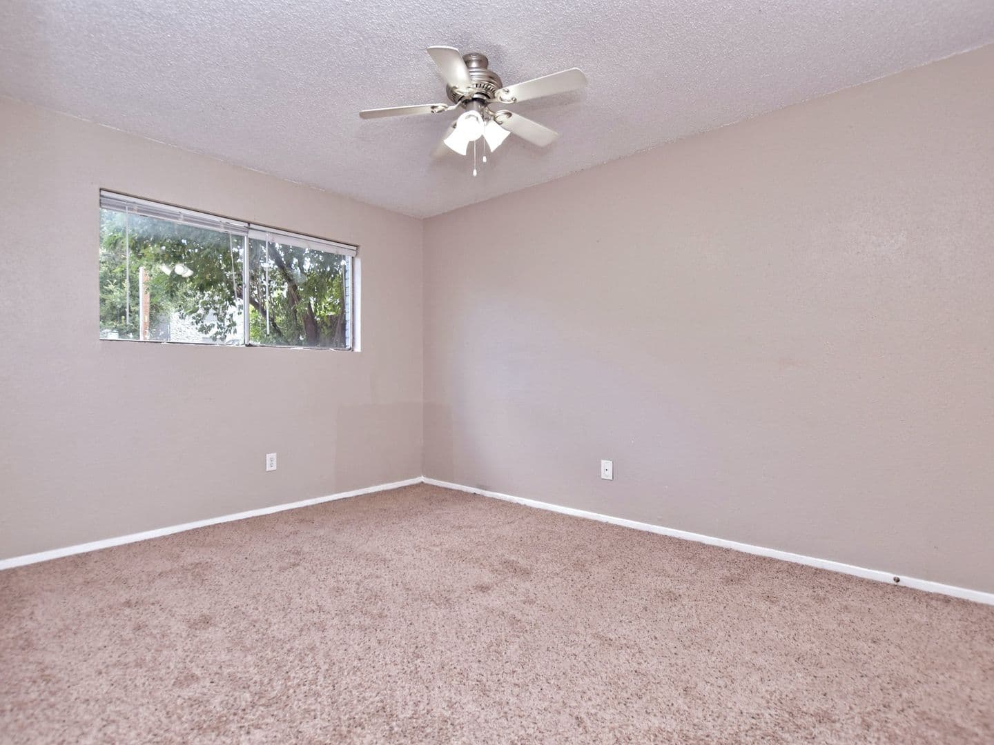 Austin Apartment: 408 W 37th St