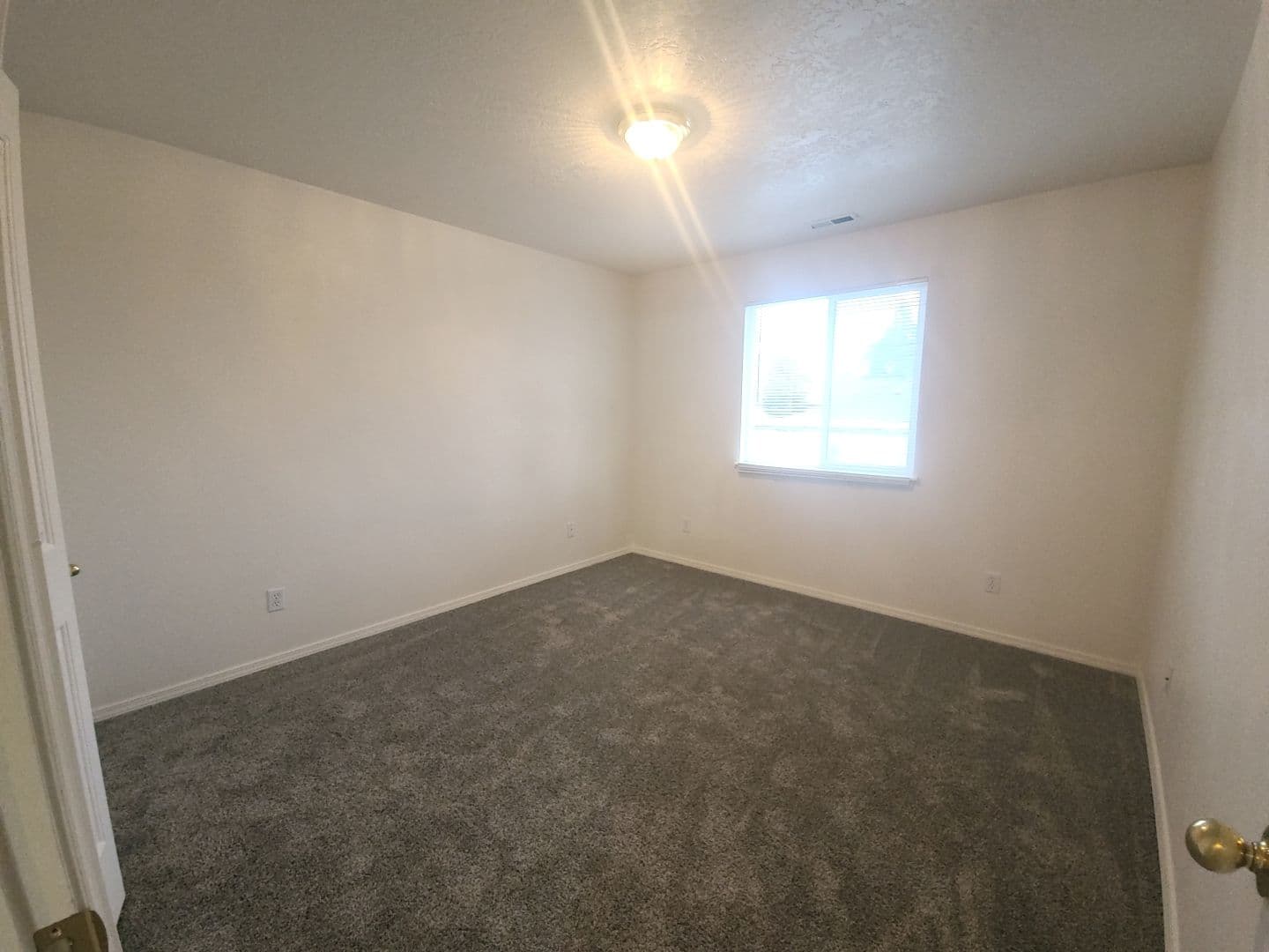 Nampa Townhome: 313 W. Timber Creek Rd.