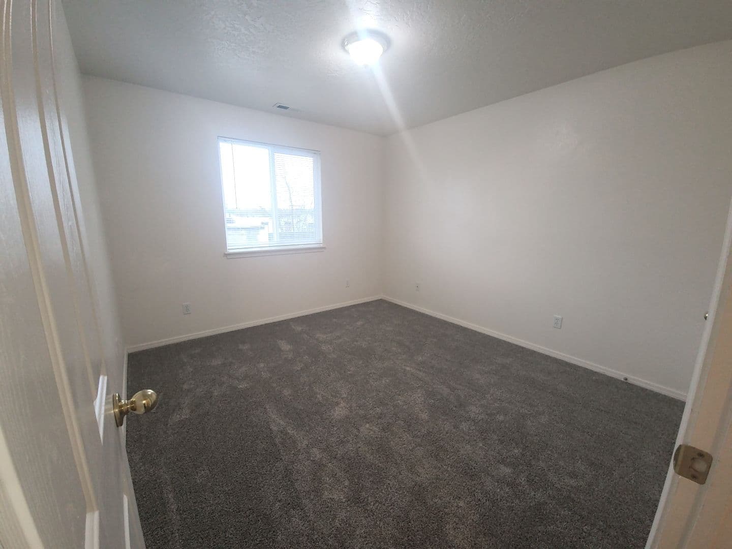 Nampa Townhome: 313 W. Timber Creek Rd.