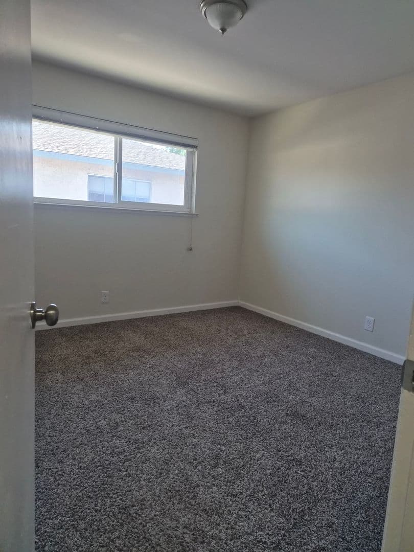 Campbell Apartment: 227 Hollis Avenue