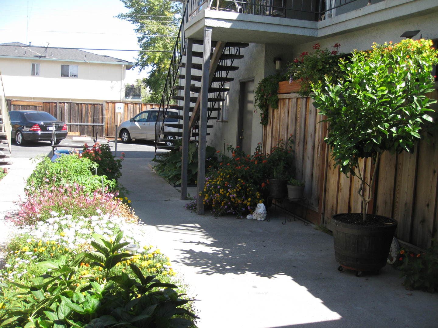 Campbell Apartment: 227 Hollis Avenue