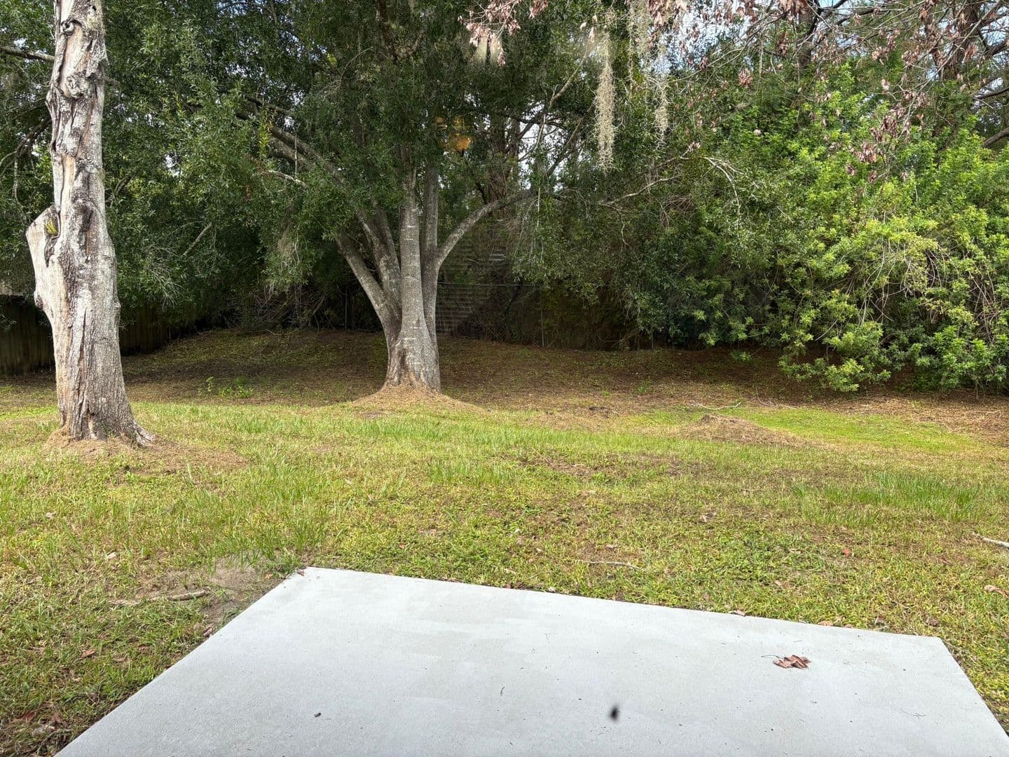Casselberry House: 1937 Vienna Dr