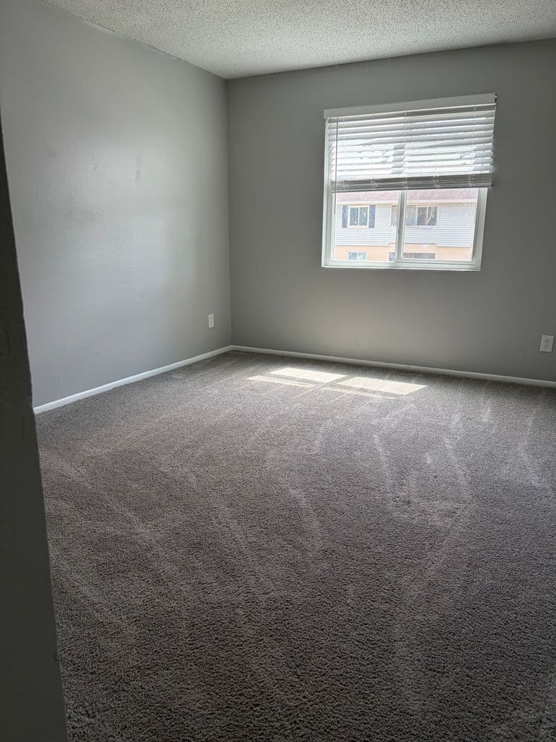 Brandon Apartment: Hamptons at Brandon