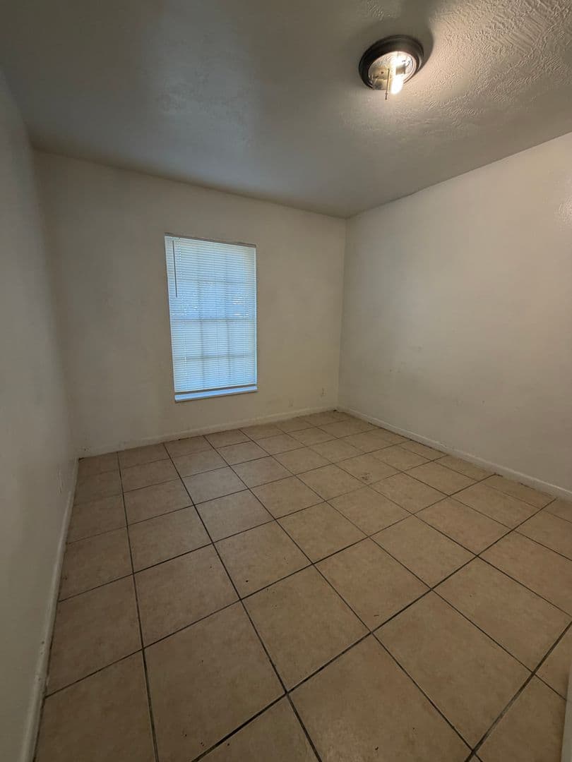 Tampa Apartment: 1402 College Park Ct