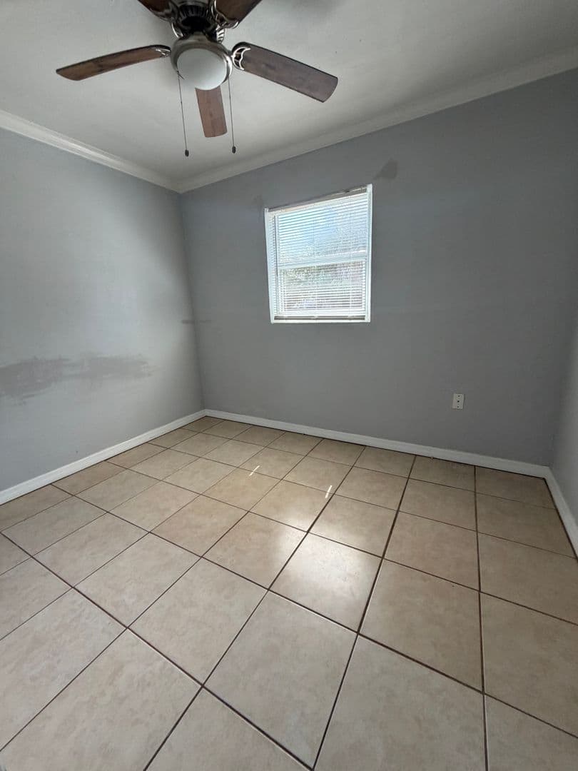 Clearwater Apartment: 1006 Vine Ave