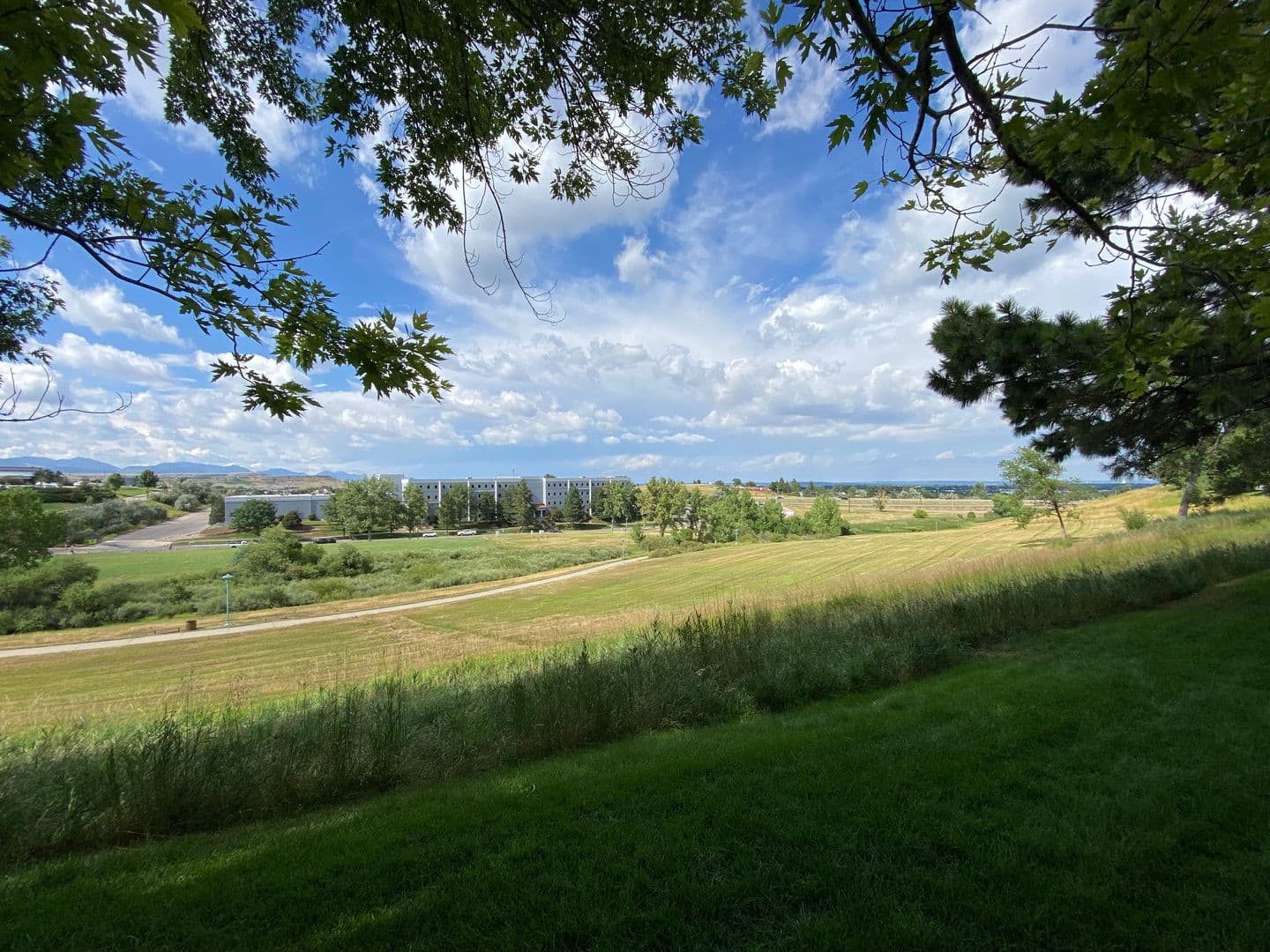 Lakewood Condo: 429 Wright St