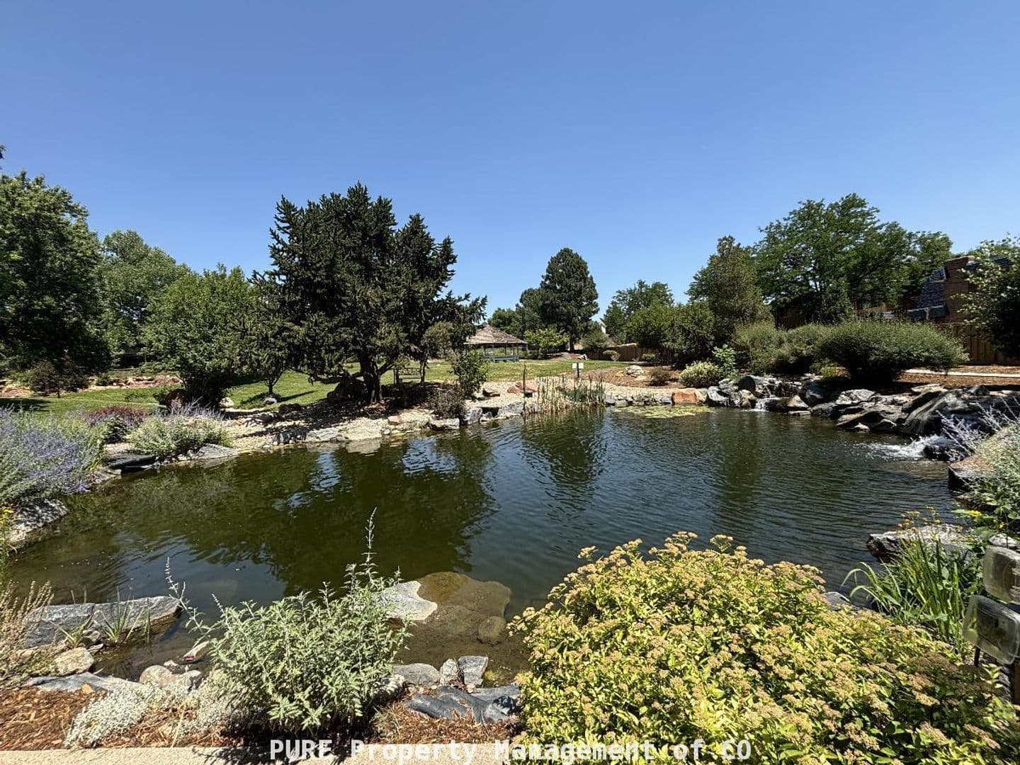 Denver Condo: 7865 E Mississippi Ave Unit 501