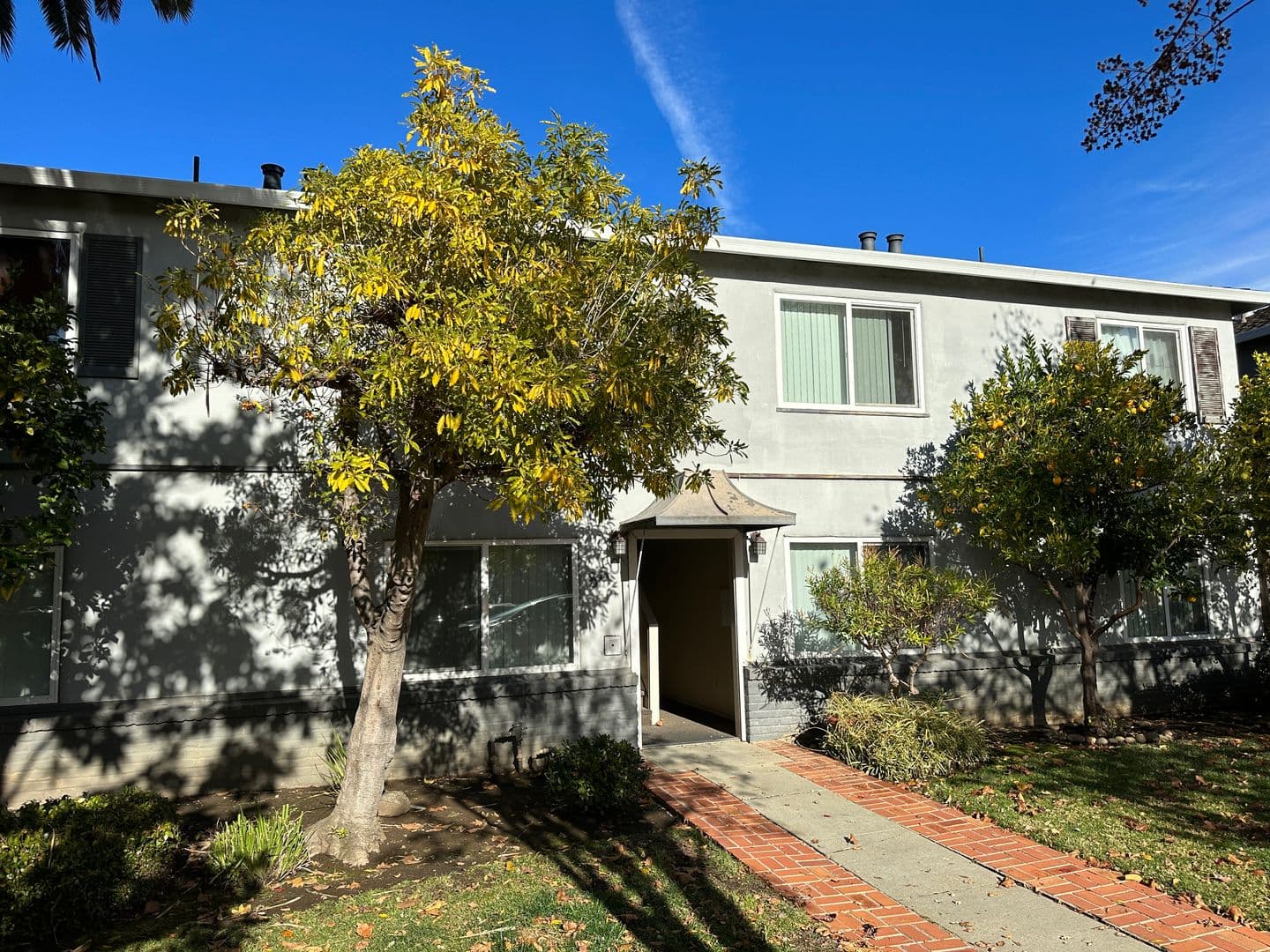 Mountain View Apartment: 880 Park Drive