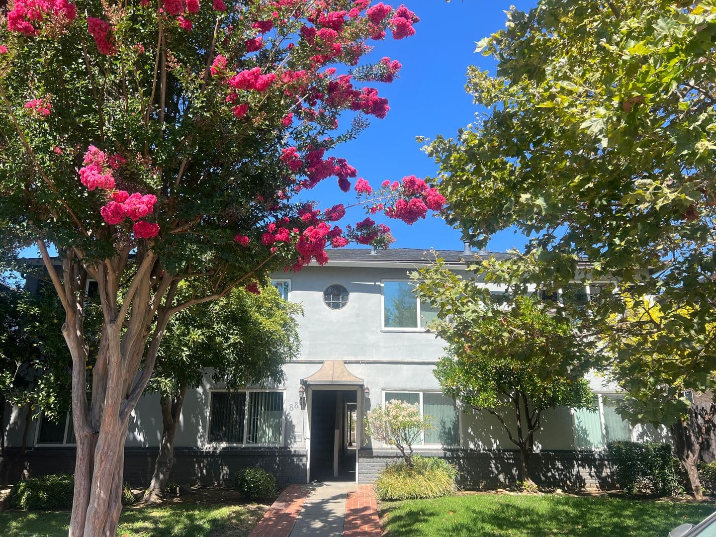 Mountain View Apartment: 880 Park Drive