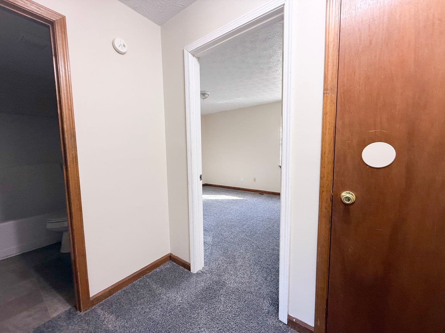 Cookeville Apartment: 492 W 9th St