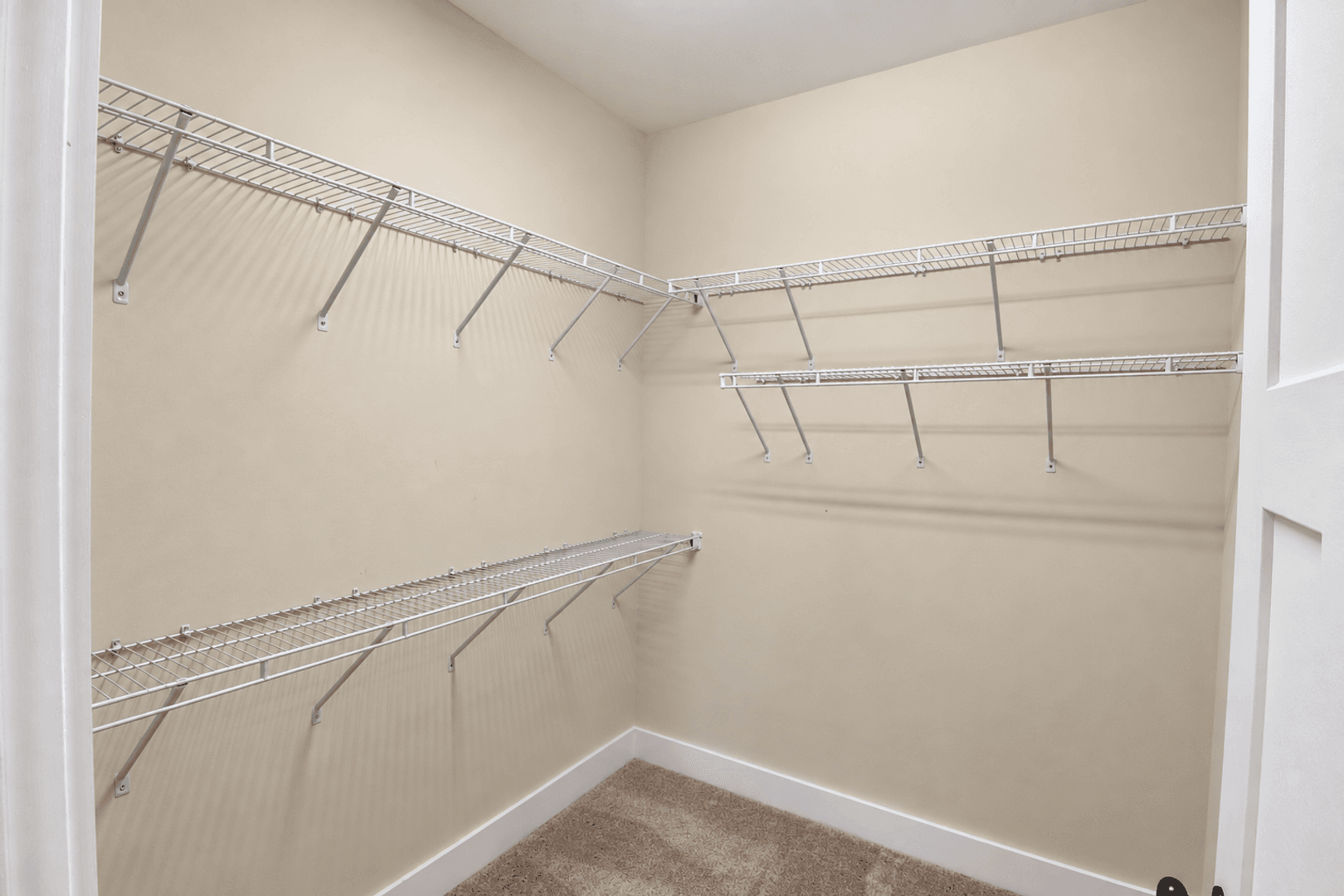 Cookeville House: 1137 Crosspointe Drive