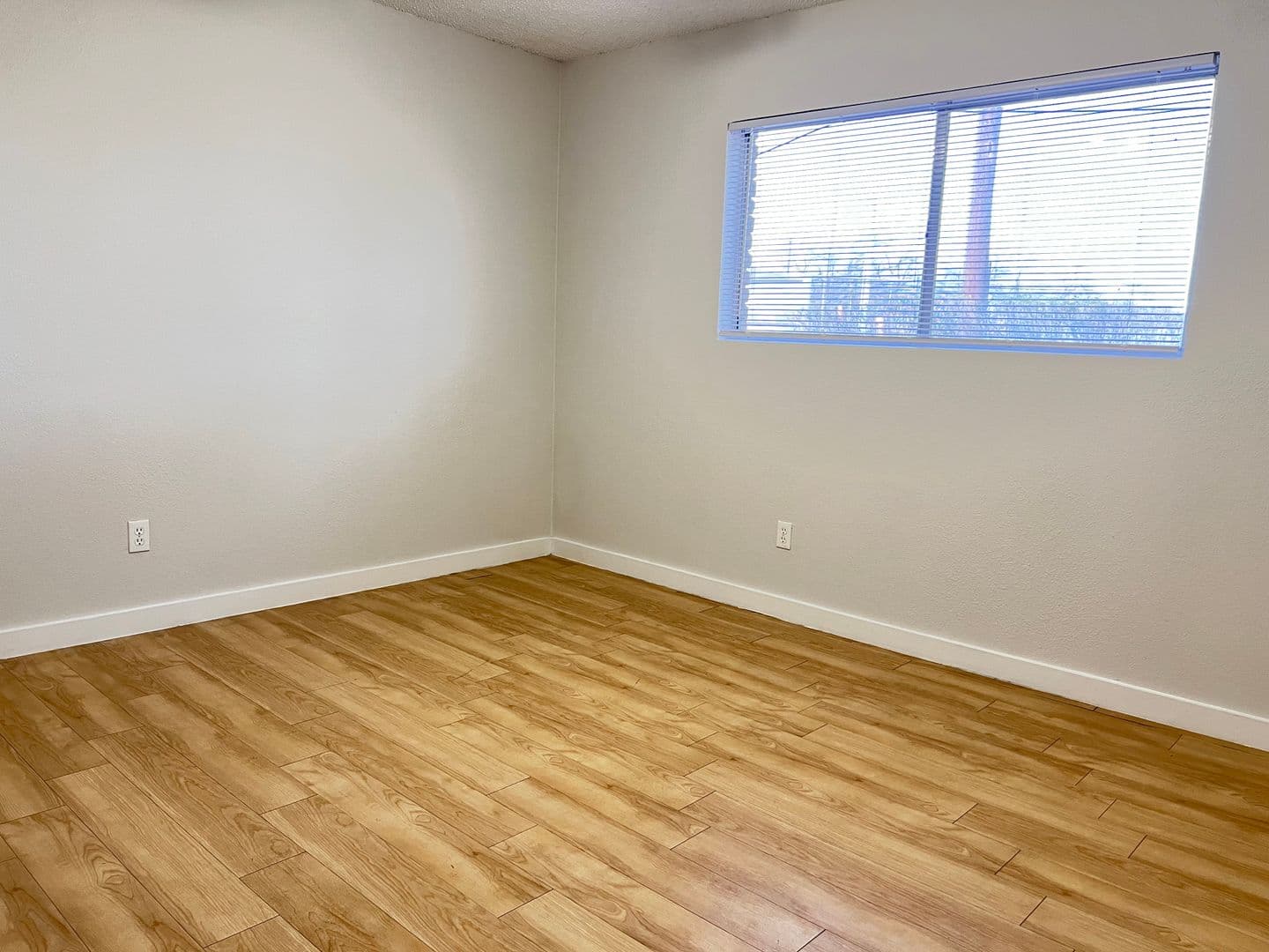 Austin Apartment: 1329 W Mary St