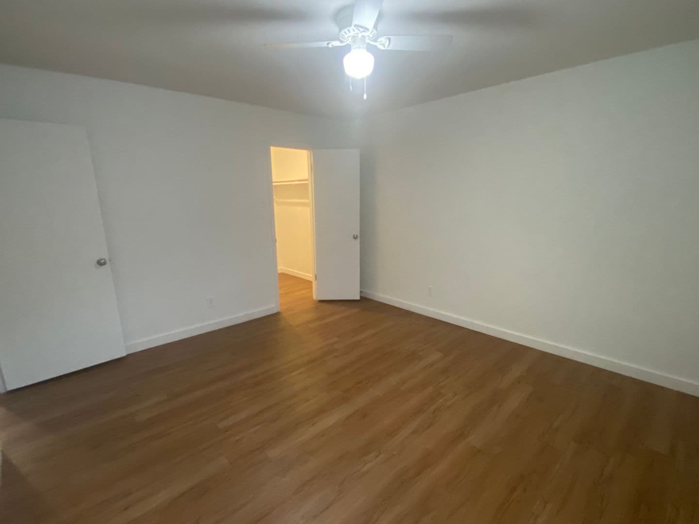 Austin Apartment: 1515 Palma Plaza