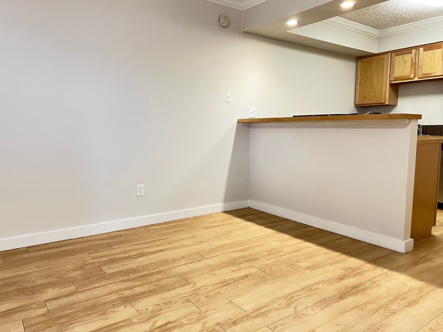 Austin Apartment: 1329 W Mary St