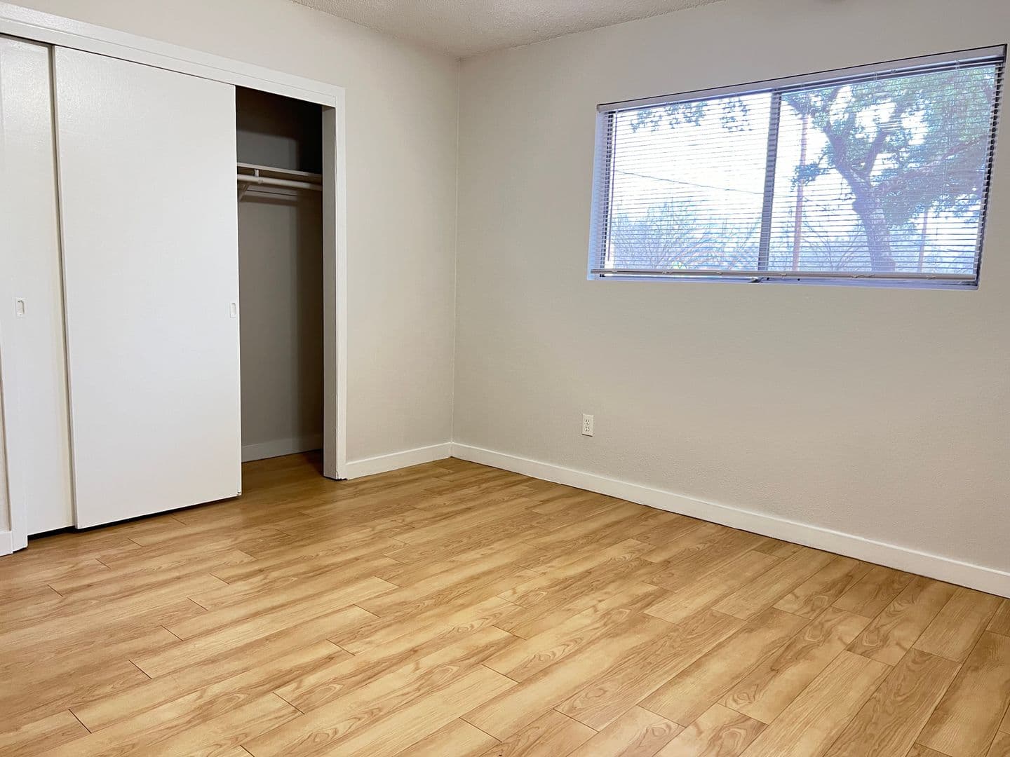 Austin Apartment: 1329 W Mary St