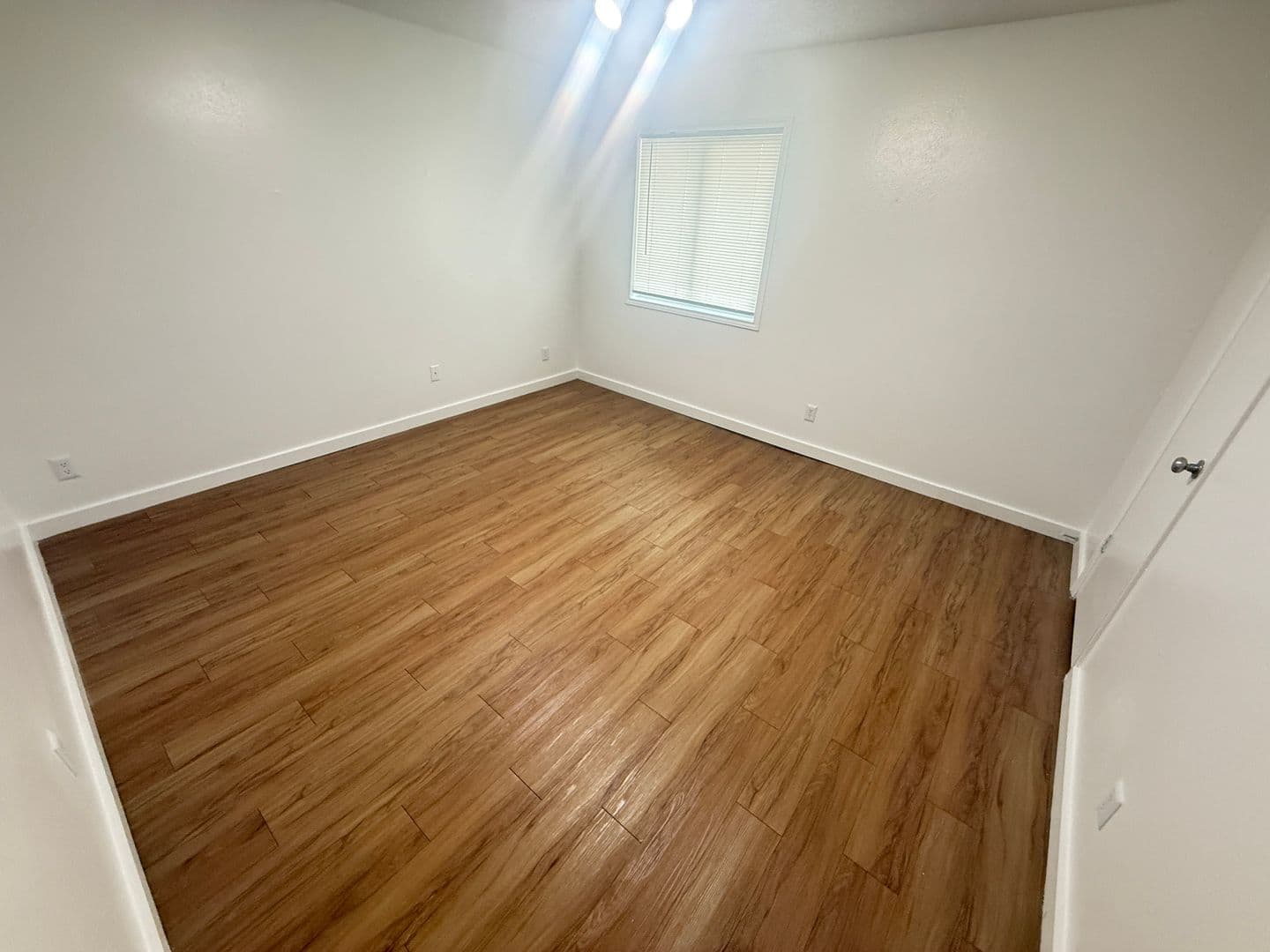Austin Apartment: 1515 Palma Plaza