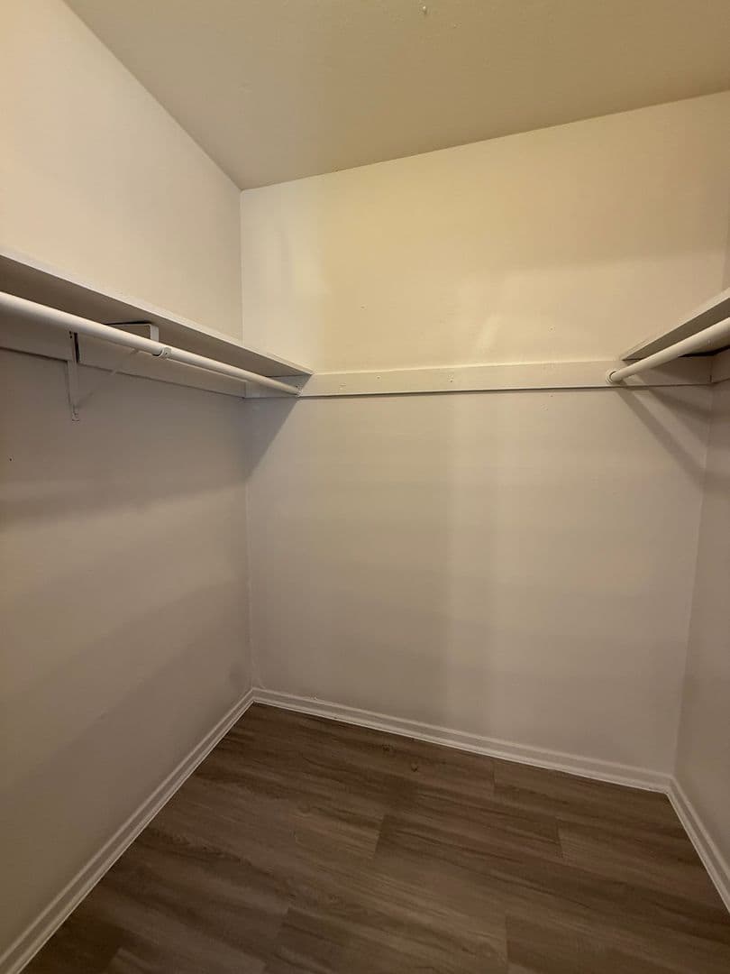Austin Apartment: 2907 West Ave
