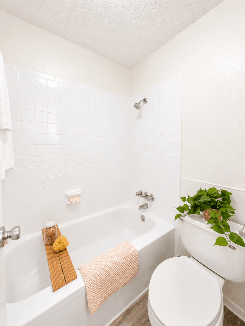 Austin Apartment: 2907 West Ave