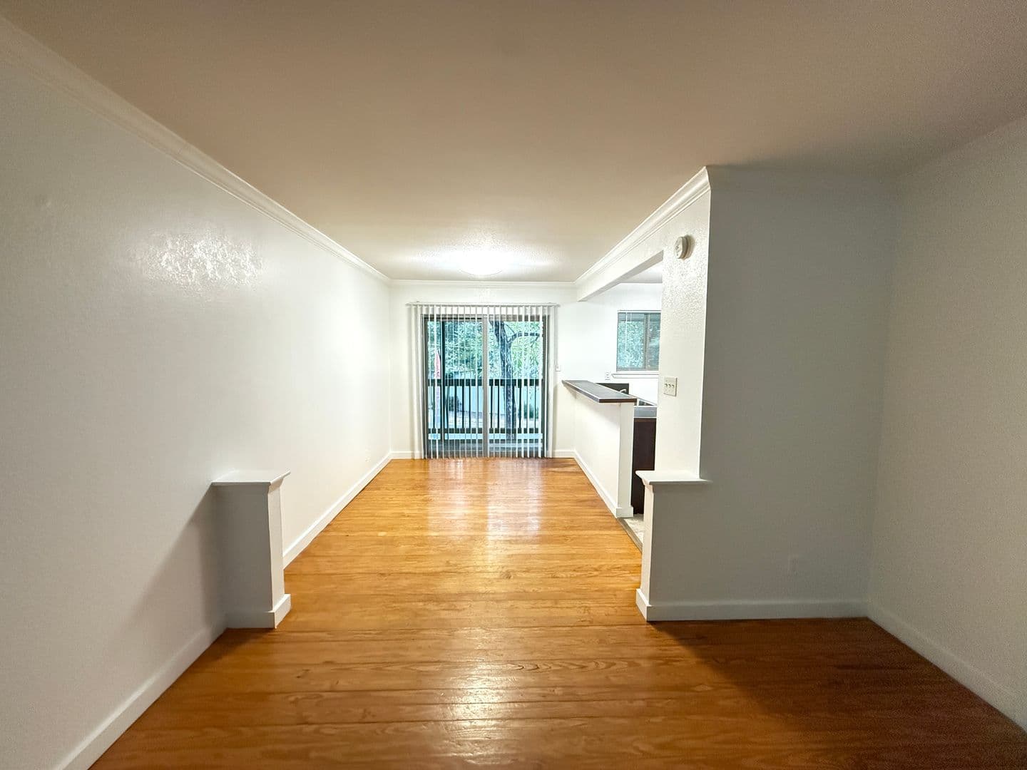 Austin Apartment: 1401 Enfield Rd