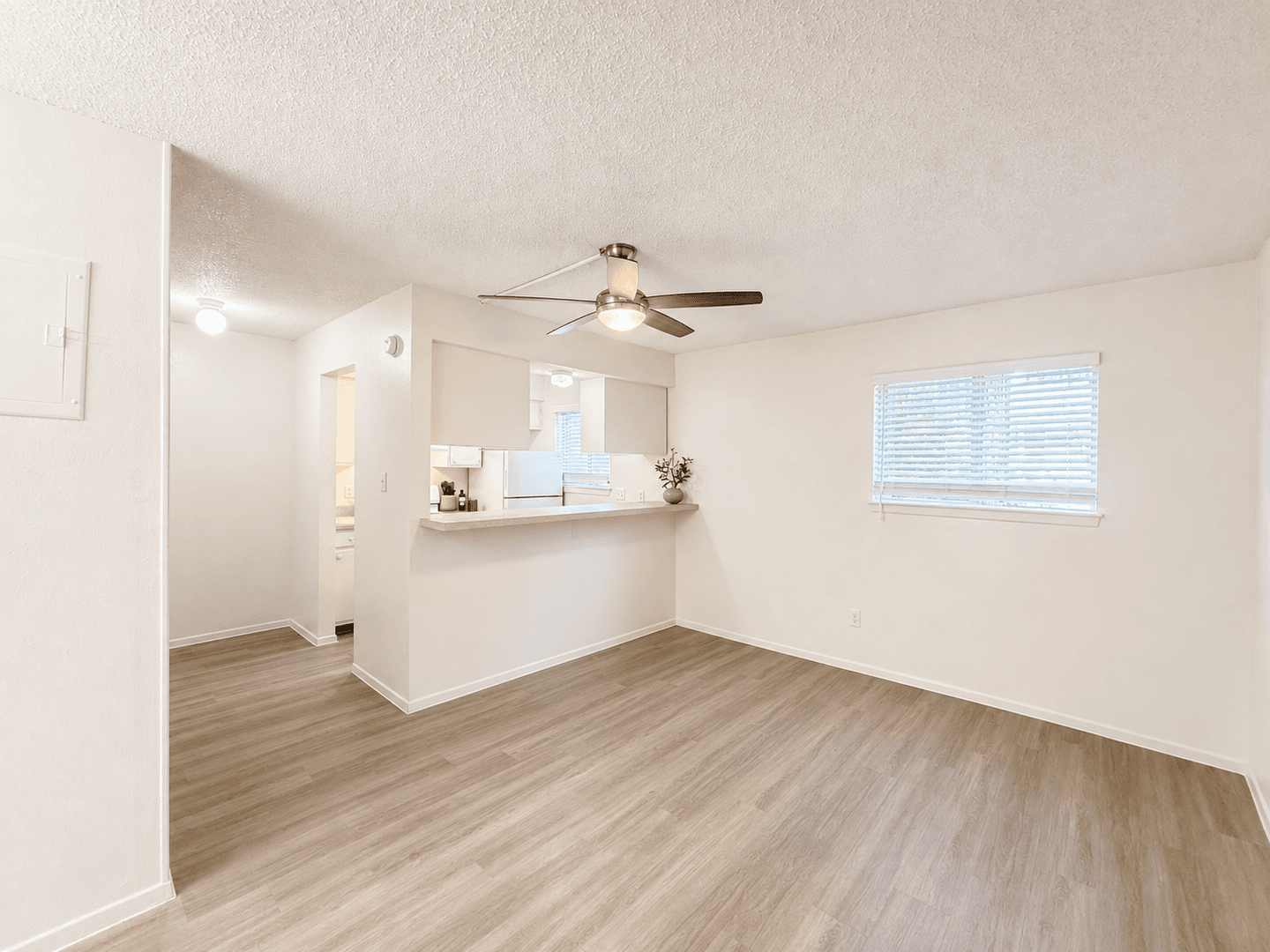 Austin Apartment: 2907 West Ave