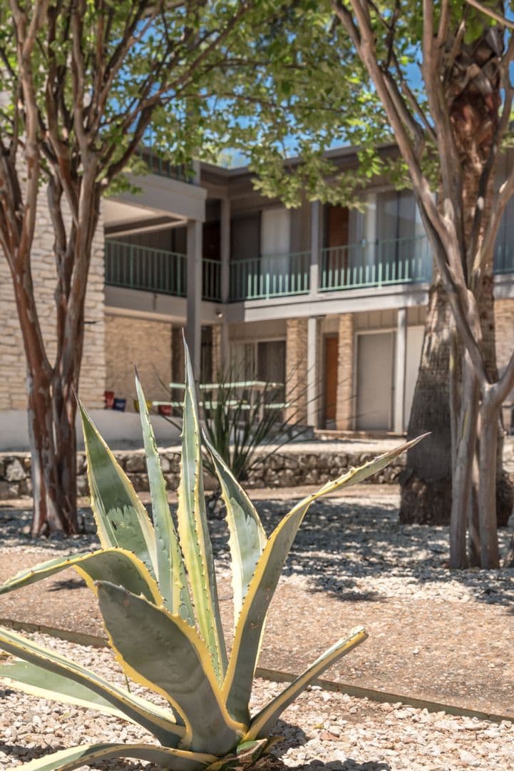 Austin Apartment: 3106 Speedway