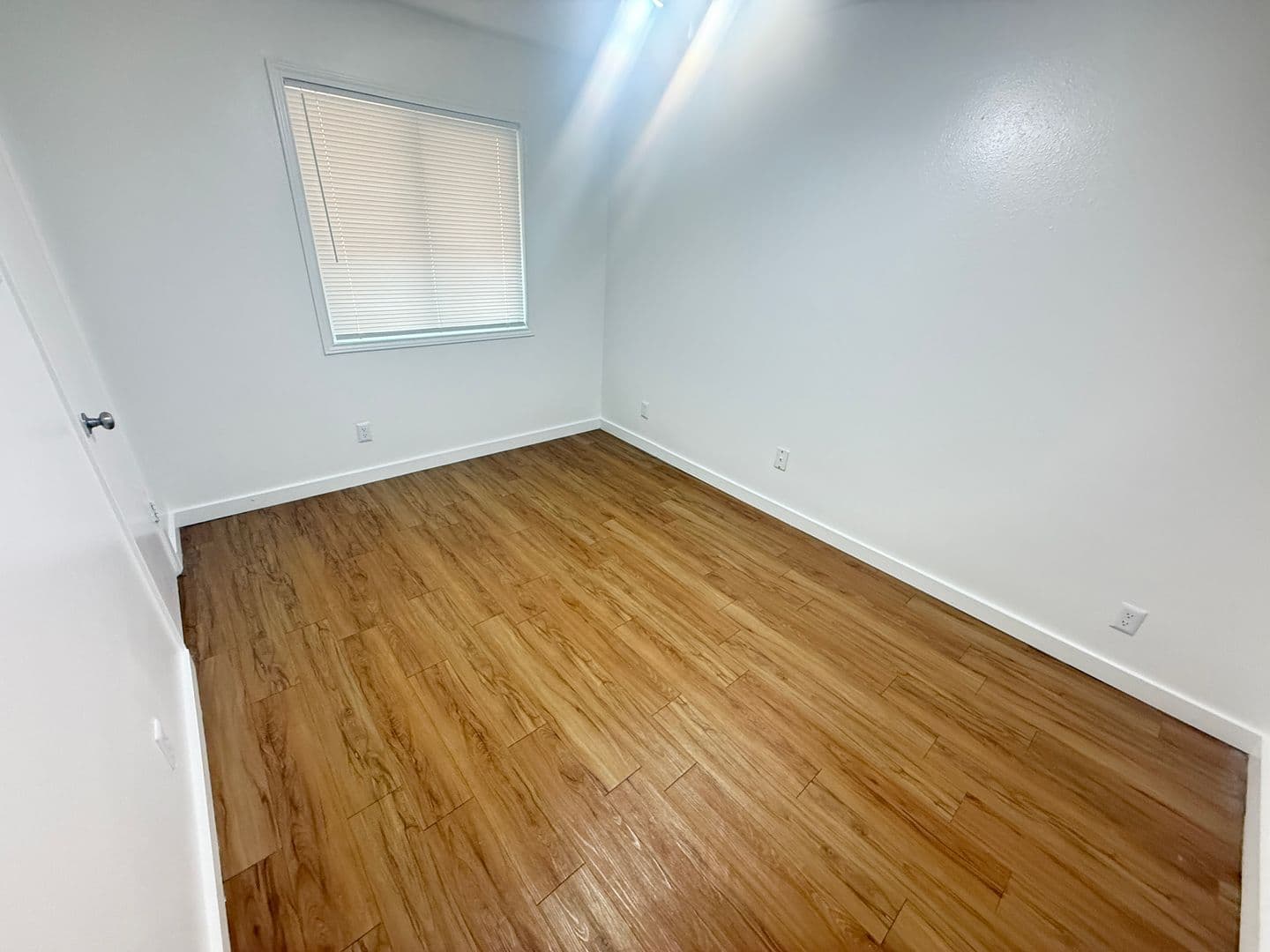 Austin Apartment: 1515 Palma Plaza