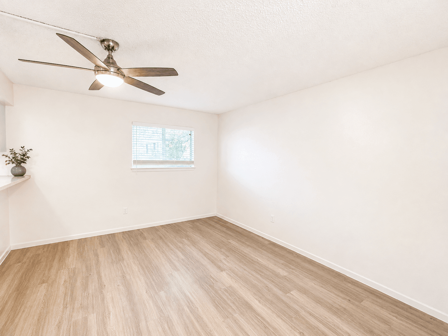 Austin Apartment: 2907 West Ave