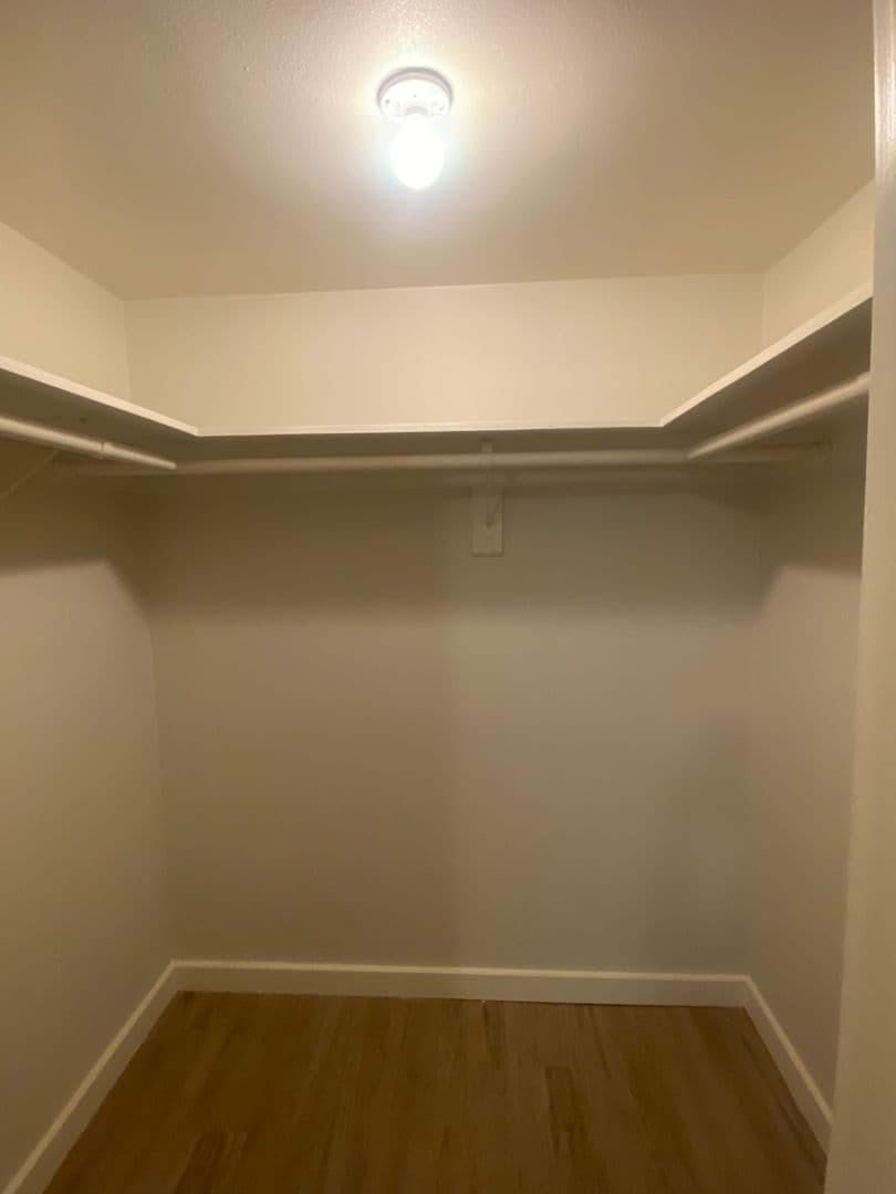 Austin Apartment: 2207 Lawnmont Ave