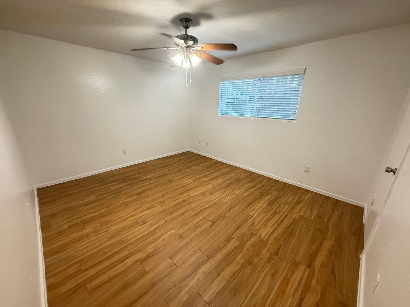 Austin Apartment: 1610 Enfield Rd