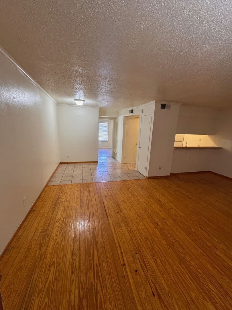 Austin Apartment: 2207 Lawnmont Ave