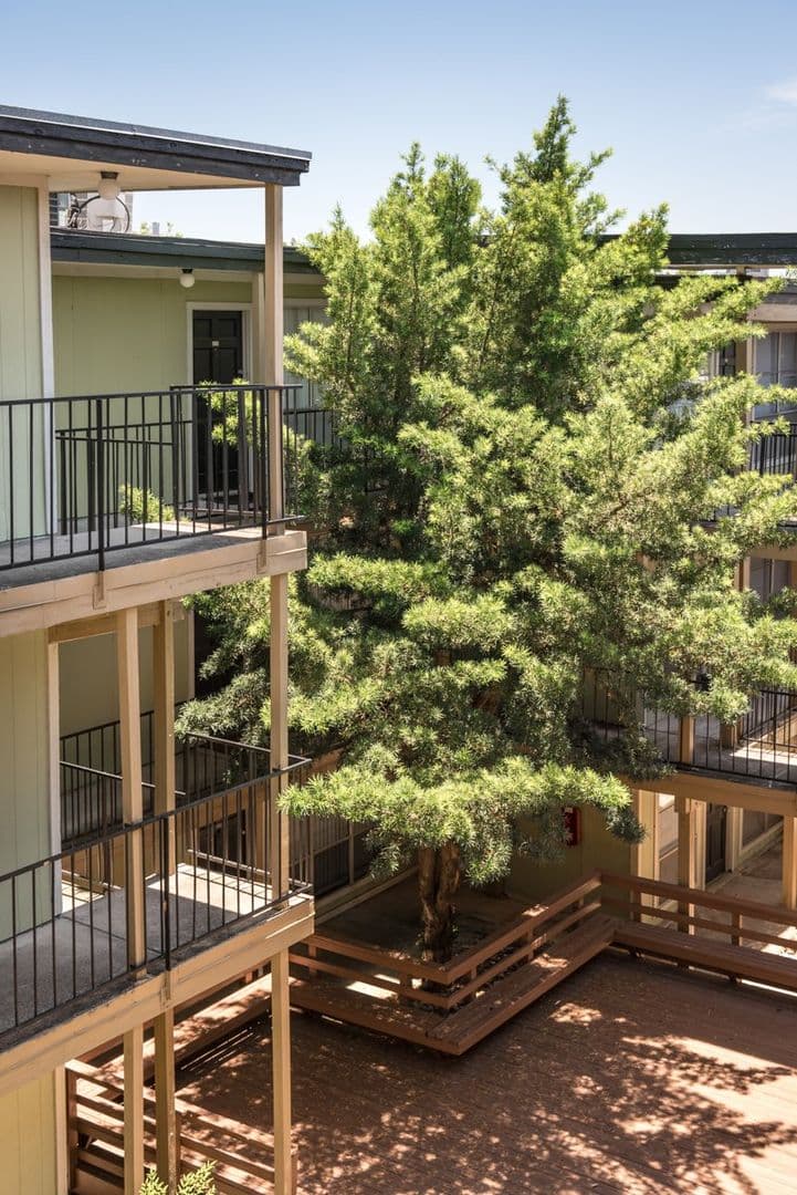Austin Apartment: 4505 Duval St