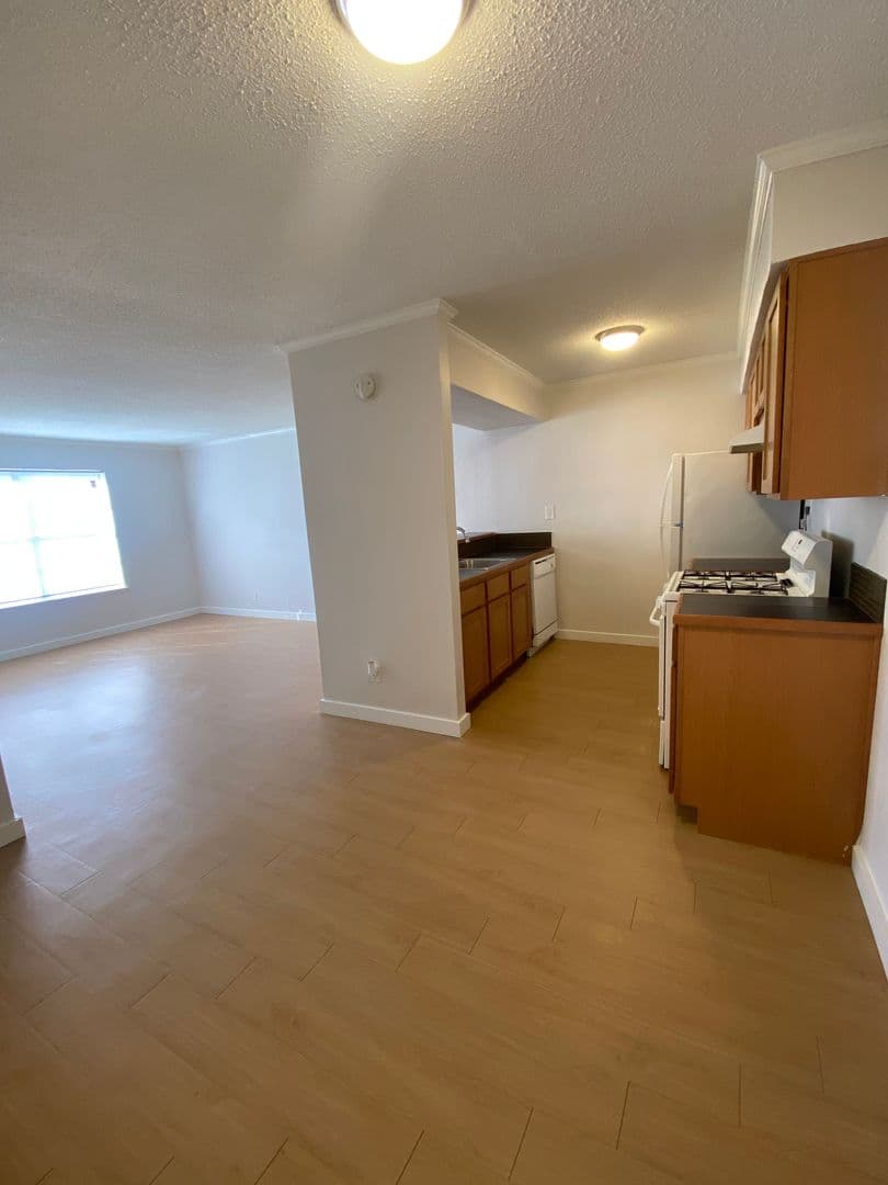 Austin Apartment: 2207 Lawnmont Ave