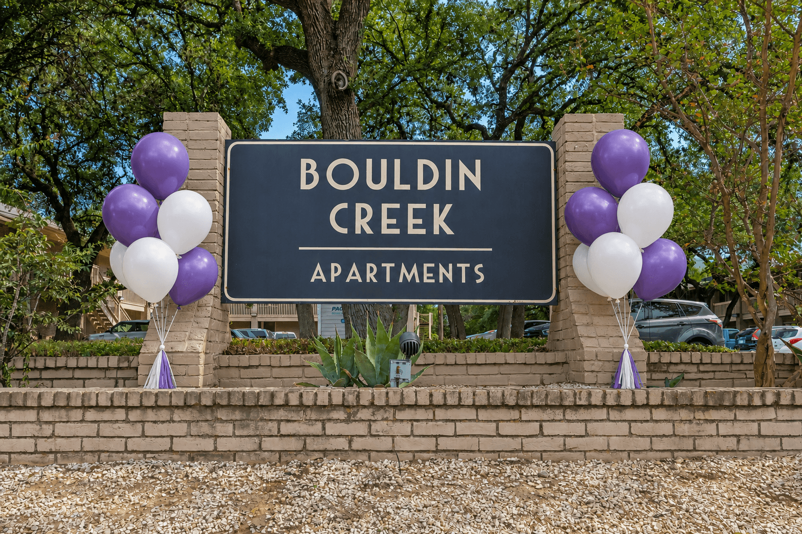 Austin Apartment: 1329 W Mary St