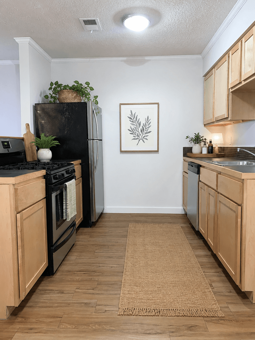 Austin Apartment: 1329 W Mary St