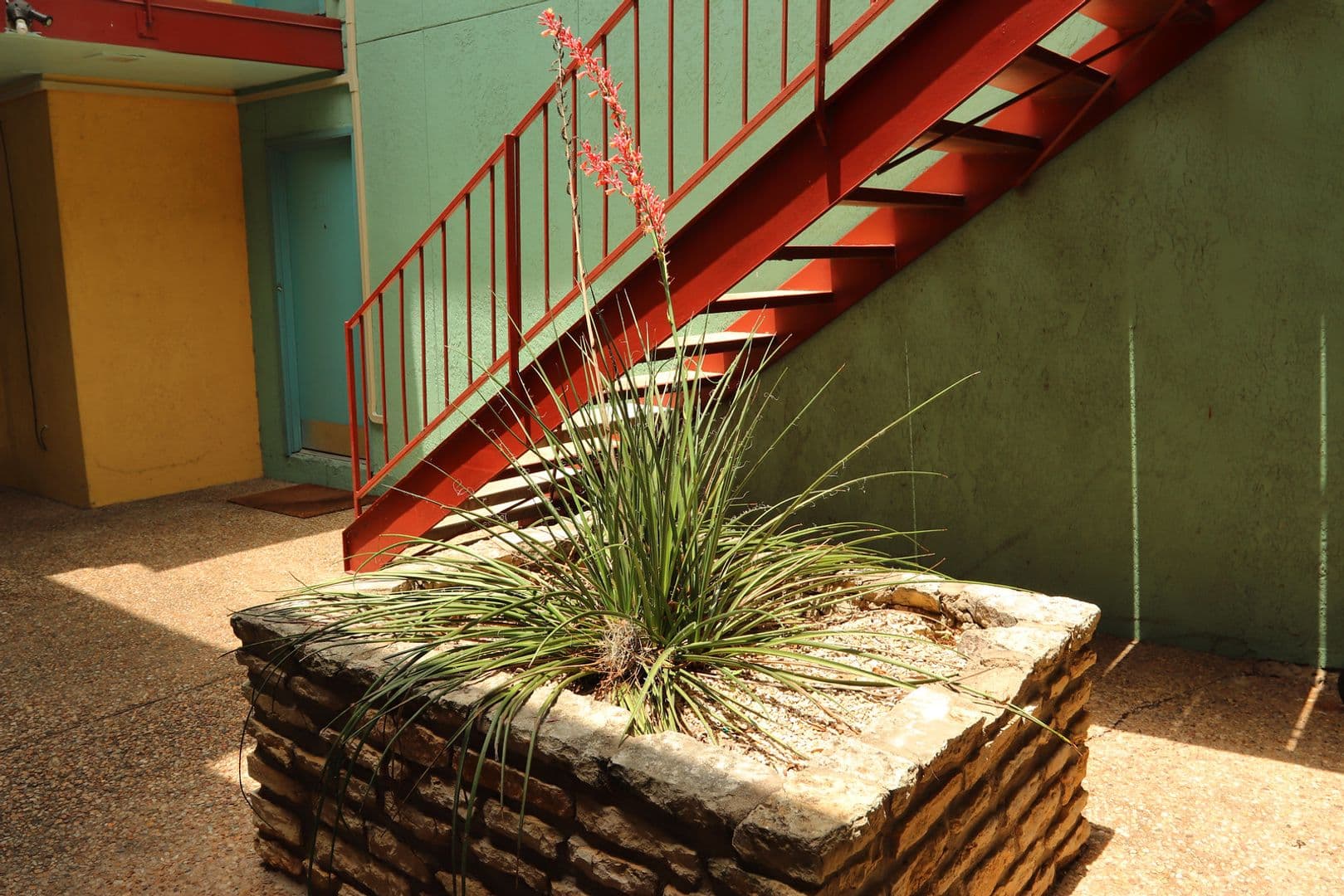 Austin Apartment: 2907 West Ave