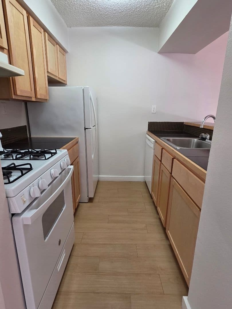 Austin Apartment: 2207 Lawnmont Ave