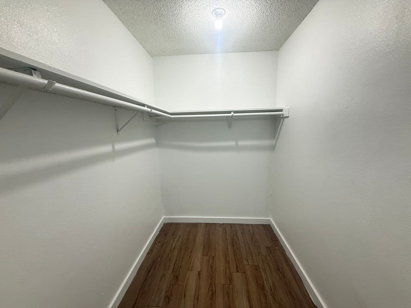 Austin Apartment: 1515 Palma Plaza
