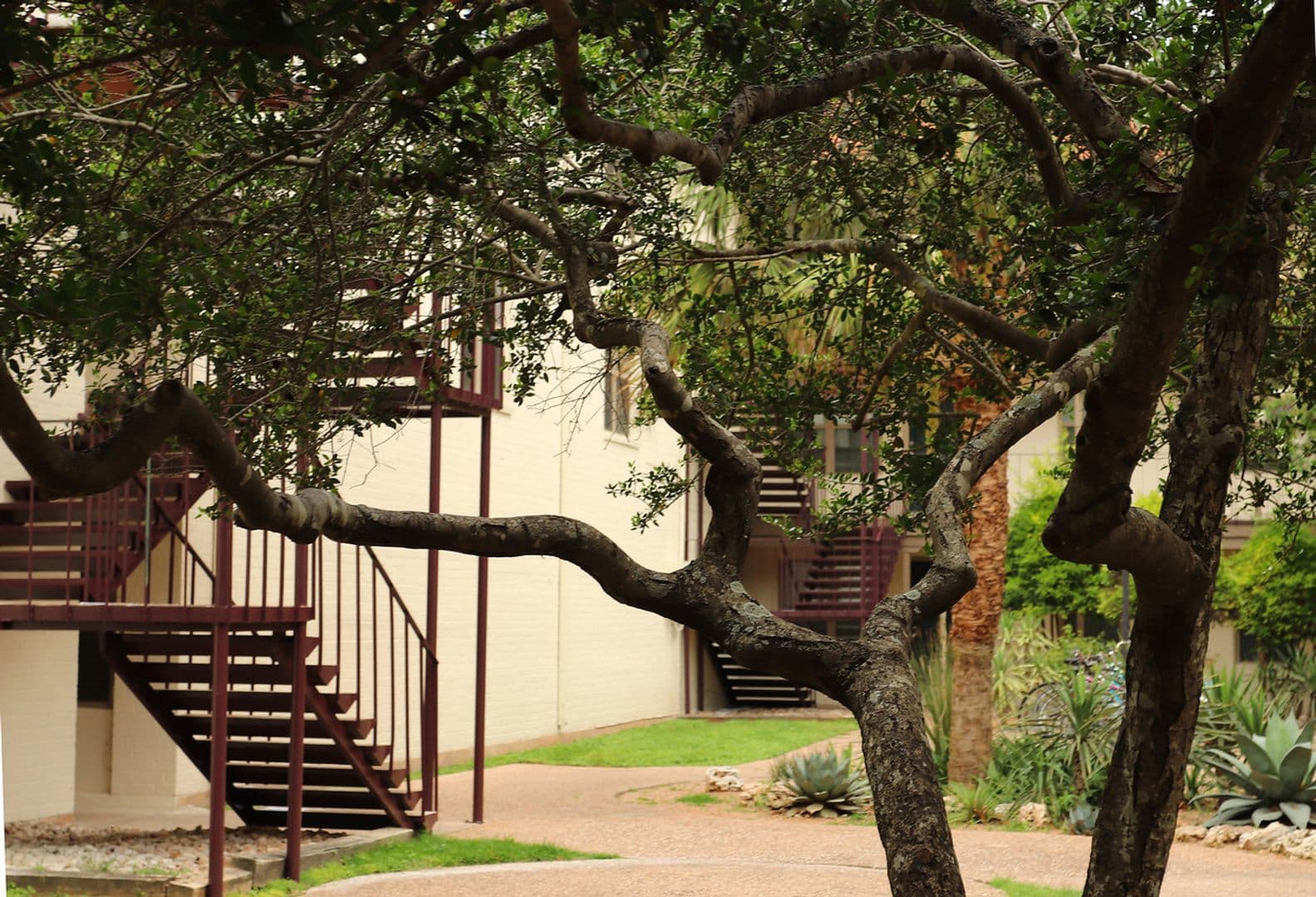 Austin Apartment: 109 W 39th St
