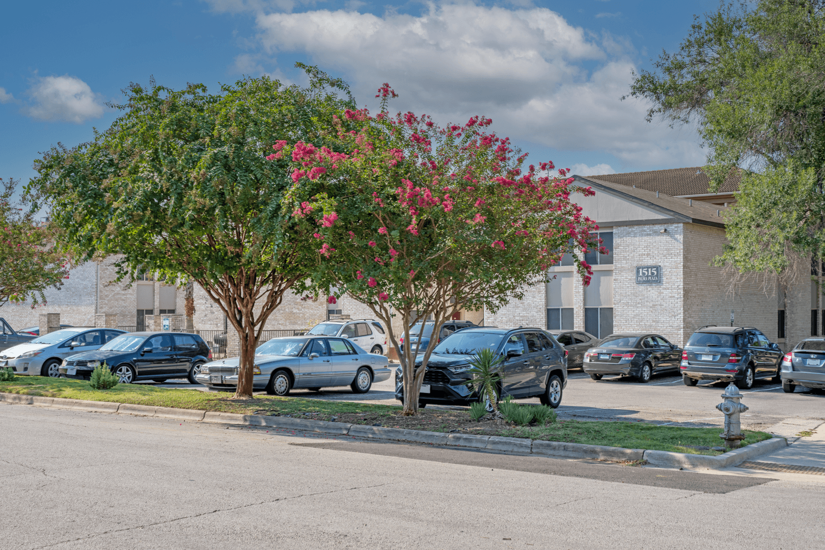 Austin Apartment: 1515 Palma Plaza