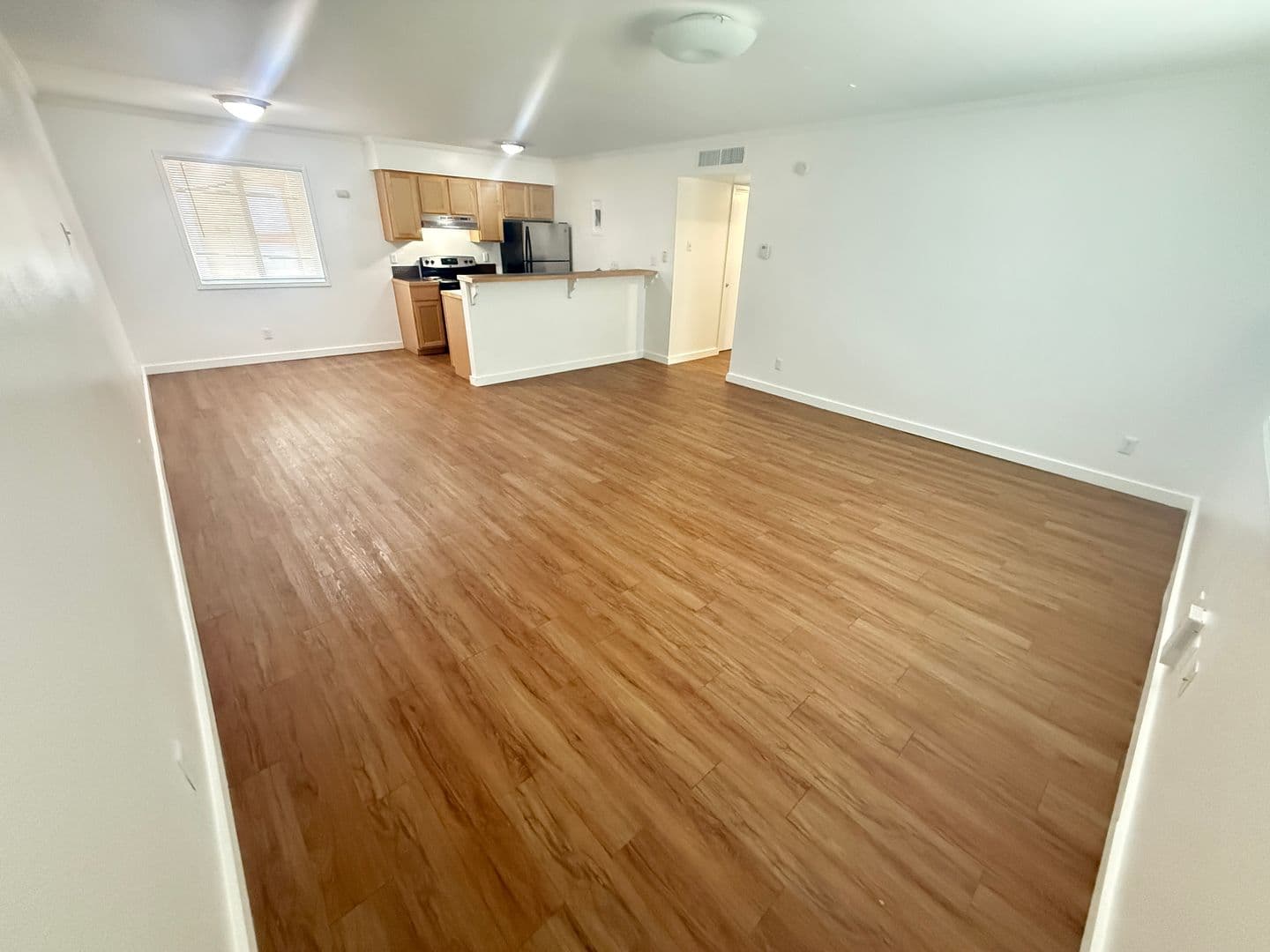Austin Apartment: 1515 Palma Plaza