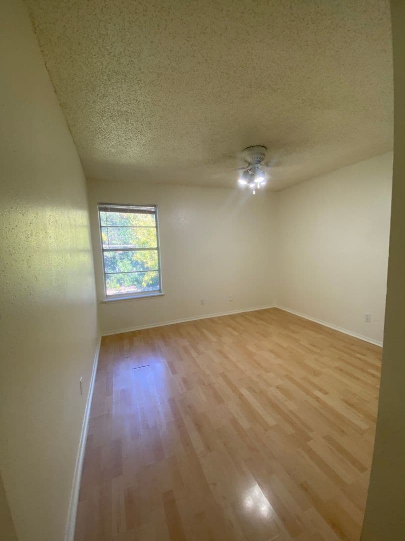 Austin Apartment: 2207 Lawnmont Ave