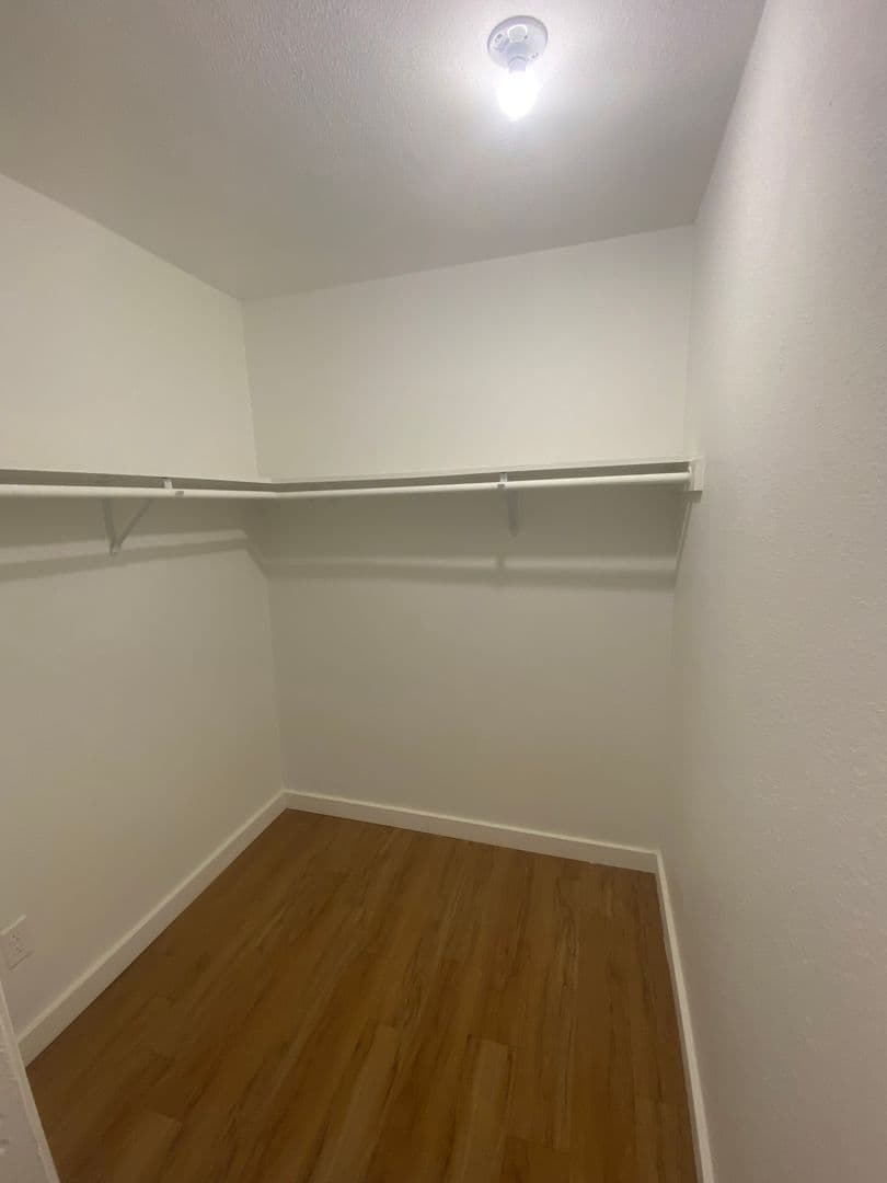 Austin Apartment: 1515 Palma Plaza