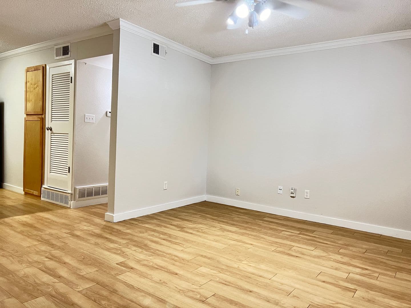 Austin Apartment: 1329 W Mary St