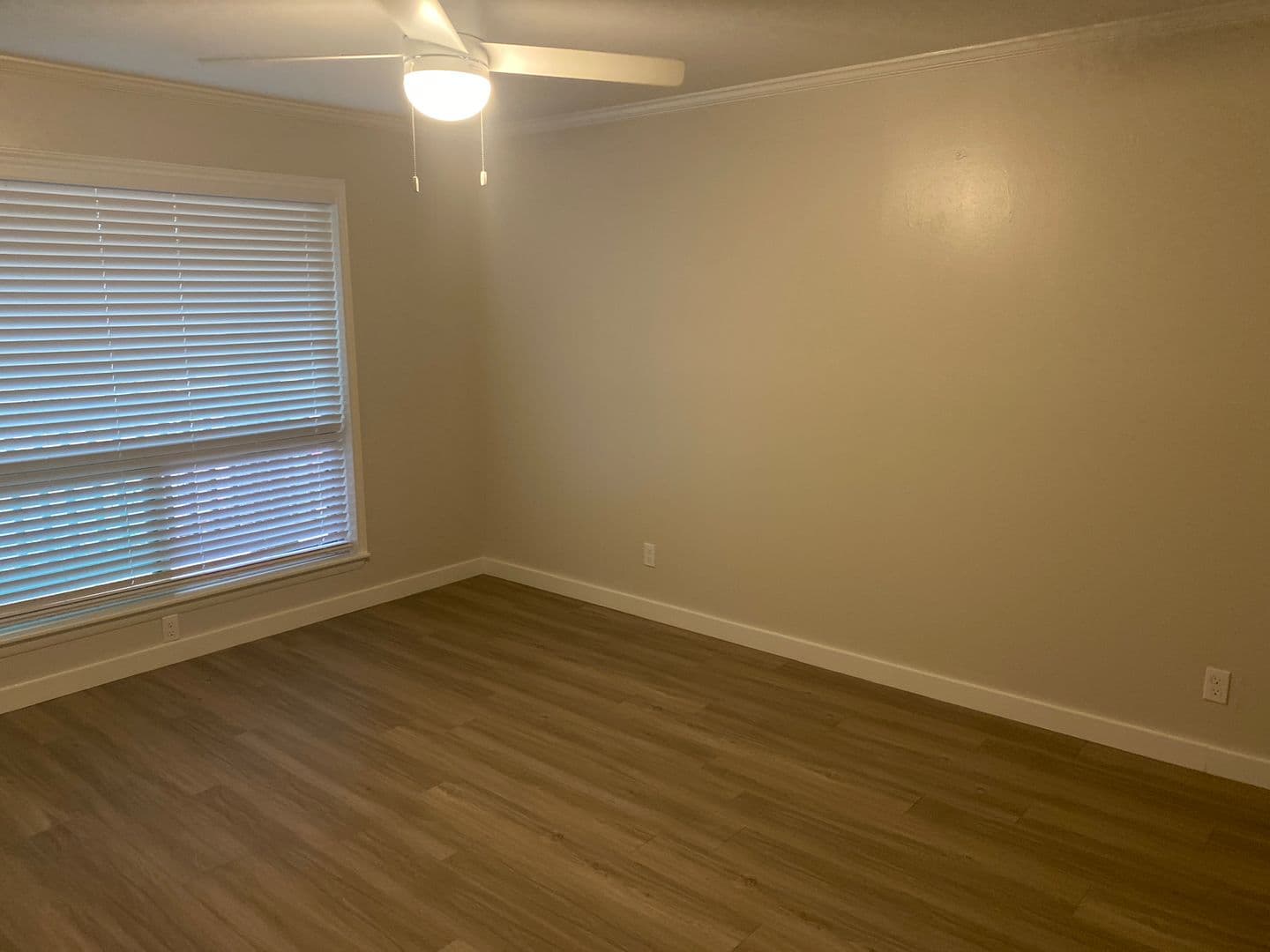 Austin Apartment: 1401 Enfield Rd