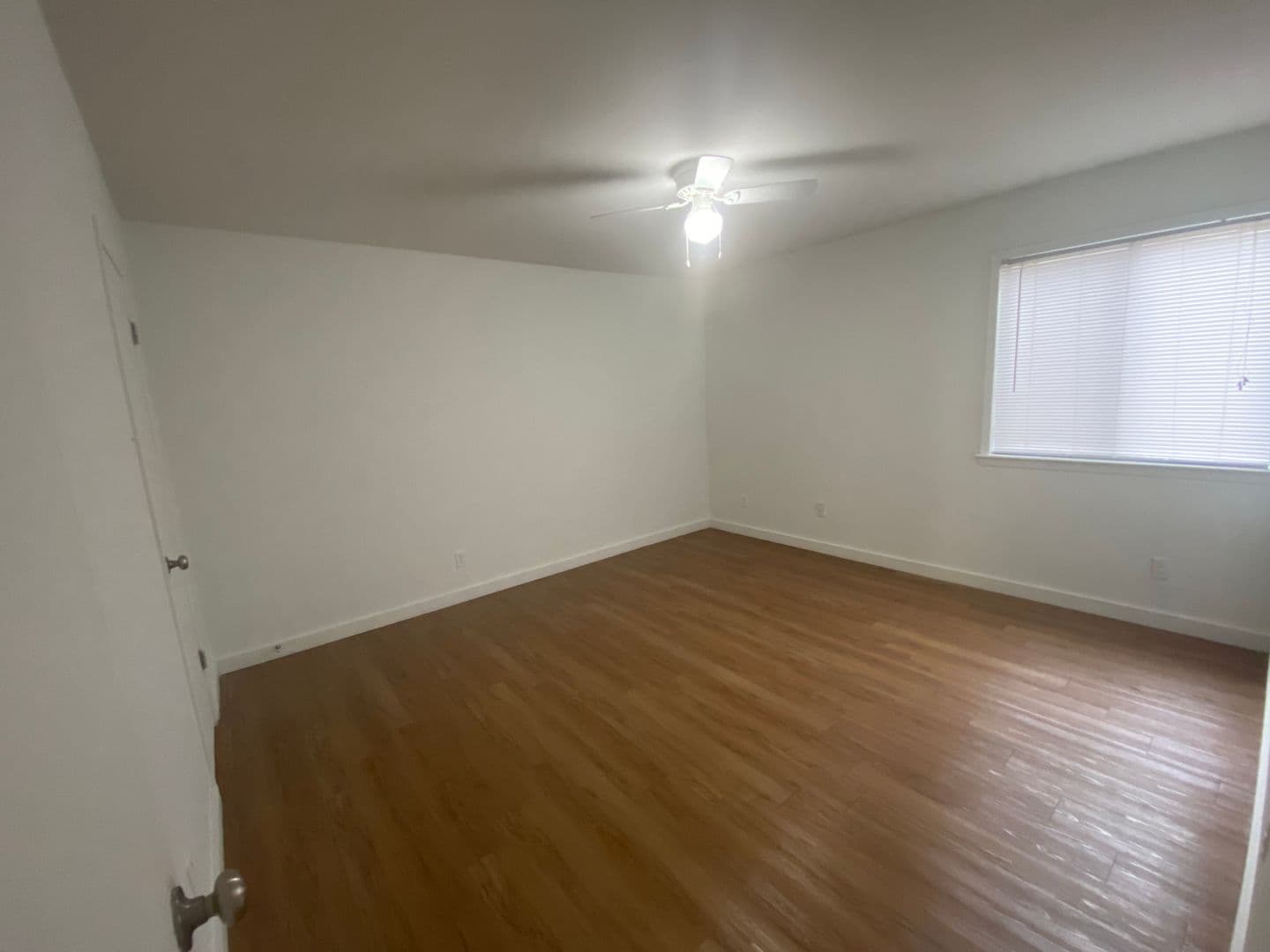 Austin Apartment: 1515 Palma Plaza