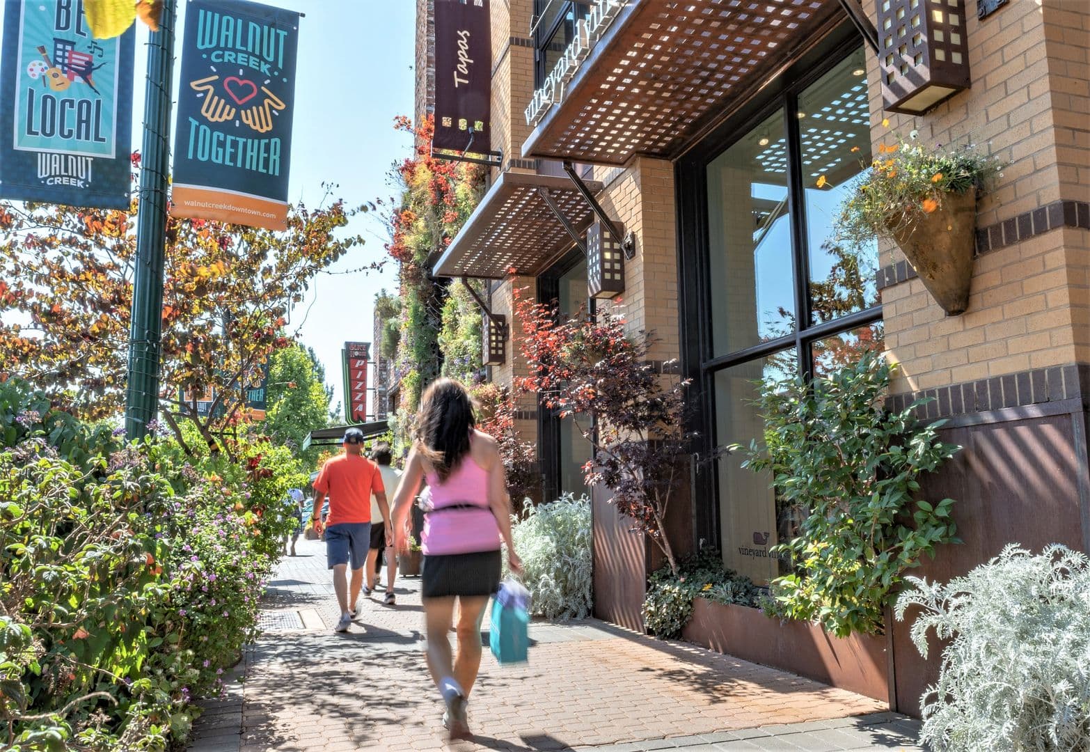Walnut Creek Apartment: 1200 Alpine Road